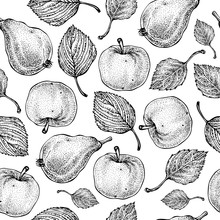 Vector Hand Drawn Apple And Pear Seamless Pattern. Summer Fruits. Engraved Style. Background. Detailed Food Drawing. Great For Summer Decor Or Detox Program.