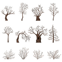 Vector Set Of Cartoon Bare Trees And Shrubs