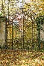 Beautiful Old Iron Locked Gate In The Park With Colorful Autumn Leaves Of Trees. Vertically. 