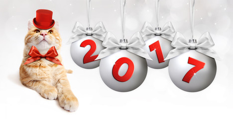 ginger cat and silver christmas ball with silvery satin ribbon bow