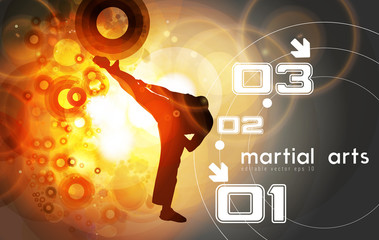 Wall Mural - Vector of karate