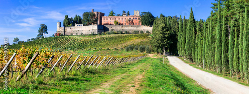 Cuadros en Lienzo Castello di Brolio with biggest wineyards in Chianti region of Tuscany