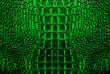 Green Crocodile Leather Texture Background
