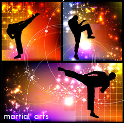 Wall Mural - Sport, karate training, vector