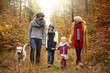 © gpointstudio - Family walking across the forest.