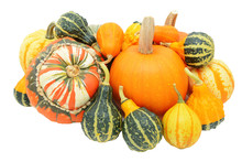 Group Of Autumnal Gourds - Pumpkins, Turban Squash And Ornamenta