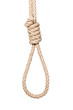 Bankrupt concept. Hangman's noose isolated on a white background, a symbol of death.