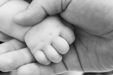 small child's hand in hand of adult parent closeup / black and white photo in retro style