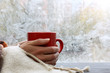  warming drink at home in winter/ big red mug in the hands thrown over with a warm blanket against the window with frost 