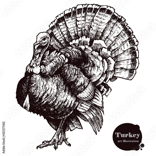 Turkey Vector Illustration Thanksgiving Day Buy This Stock Vector And Explore Similar Vectors At Adobe Stock Adobe Stock