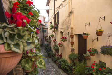 Wall Mural - Floral streets of Spello in Umbria, Italy.