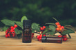 essential oils berries