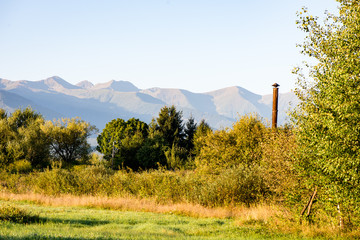 Wall Mural - View to the carpathian mountains from forest