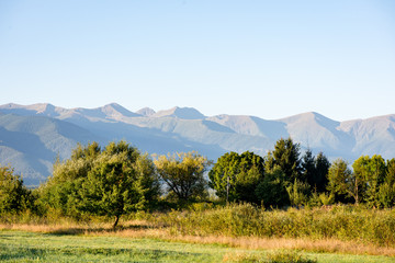 Wall Mural - View to the carpathian mountains from forest