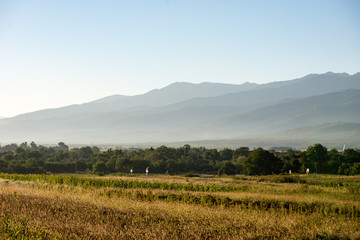 Wall Mural - View to the carpathian mountains from forest