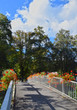 Bridge decorated with geranium flowers, on a sunny day