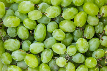  Sweet fresh grape. Grape background