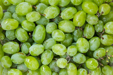  Sweet fresh grape. Grape background