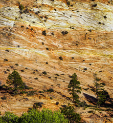 Wall Mural - Patterns in the sandstone strata