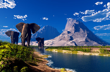 Wall Mural - Elephant.