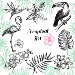 hand drawn sketch illustration tropical