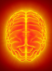 Wall Mural - 3D illustration of orange blue brain.