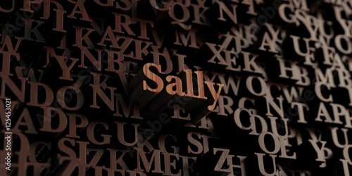 Sally Wooden 3d Rendered Letters Message Can Be Used For An