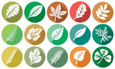 Wall Mural - leaf flat icons set