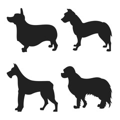 Wall Mural - Set of dogs silhouette