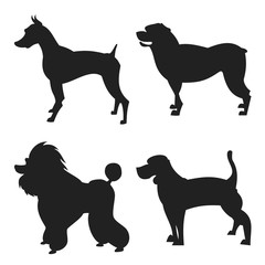 Wall Mural - Set of dogs silhouette