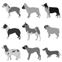 Wall Mural - Dogs flat set