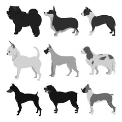 Wall Mural - Set of dog breeds