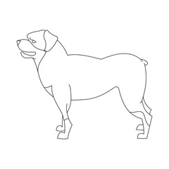 Wall Mural - Rottweiler dog linear