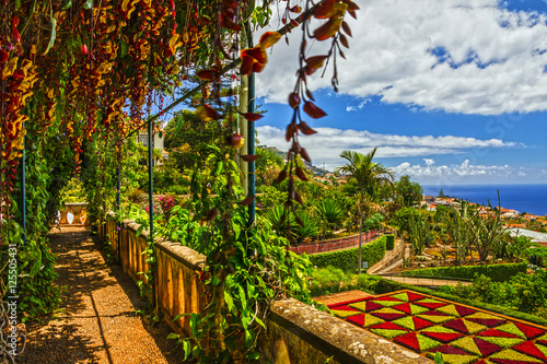 Fotografie, Obraz Madeira island, Botanical Garden Monte, Funchal, Portugal