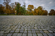 Cobbled square and deciduous trees in autumn in Poznan.