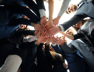 Wall Mural - Large successfull business team showing unity with their hands t