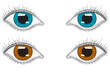 Eyes. Blue and brown eyes