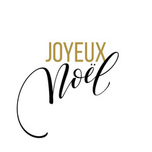 Merry Christmas Card Template With Greetings In French Language. Joyeux Noel. Vector Illustration