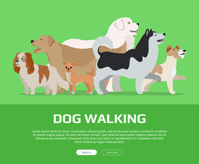 Wall Mural - Dog Walking Concept Flat Style Vector Web Banner 
