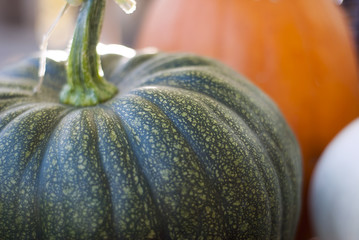 A close-up shot of a green pumpkin. 