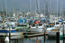 Boats, Boats In Dock, Sailboats, Harbor