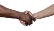 © igorgeiger - Shaking hands as a sign of friendship, hand in white and black