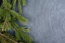 The Spruce Branches Lying On The Chalkboard. Christmas Tree Black Background. New Year.