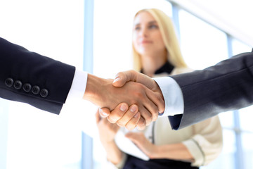 Wall Mural - Business handshake