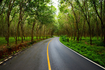 Road