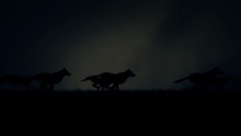 A Large Pack Of Wolves Running On A Dark Stormy Night