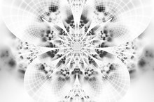 Abstract Monochrome Flower On White Background. Intricate Symmetrical Pattern In Black And White Colors. Fantasy Fractal Design For Posters, Wallpapers Or T-shirts. Digital Art. 3D Rendering.