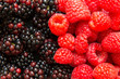 Fresh raspberries and blackberries