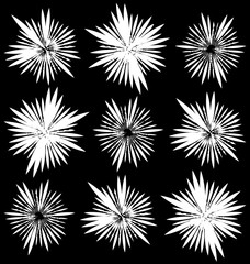 Aufkleber - Set of 9 different element with random radial lines