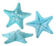 set of three light blue starfishes isolated on white